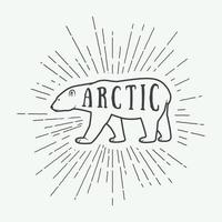 Vintage arctic white bear with slogan. Vector illustration