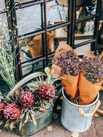 Protea flowers and plants in small florist shop photo