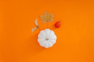 Autumn flat lay composition with white pumpkin photo