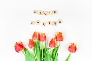 Red tulips flowers on white background photo