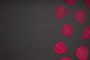 Red leaves pattern black paper background photo