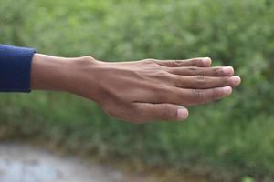 hand nature blur background photo