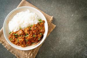 chicken tikka masala with rice on plate photo