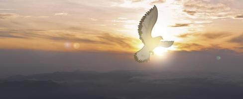 las palomas vuelan en el cielo. Los cristianos tienen fe en el espíritu santo. silueta adoración a dios con amor fe, espíritu y jesucristo. cristiano orando por la paz. concepto de adoración en el cristianismo. foto