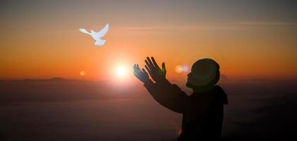 Concept of worship in Christianity. Doves fly into man hands. Christians have faith in Holy Spirit. Male silhouette worship to god with love Faith,Spirit and jesus christ. Christian praying for peace photo