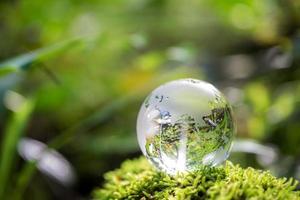 Globe planet glass In green forest with bokeh nature lights. world environment day. concept for environment conservation, protect ecology earth and environmental eco-friendly life with copy space photo