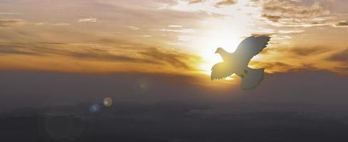 las palomas vuelan en el cielo. Los cristianos tienen fe en el espíritu santo. silueta adoración a dios con amor fe, espíritu y jesucristo. cristiano orando por la paz. concepto de adoración en el cristianismo. foto