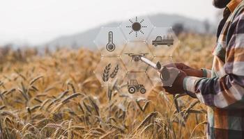 Smart farming concept. Farmer with technology digital tablet on background of wheat field. Professional farmers use internet of things IOT computers system to manage farms. agriculture modern idea. photo