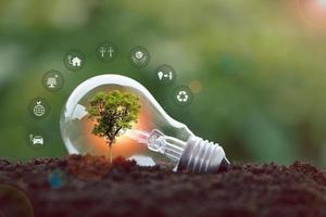 alternative energy, Renewable Energy, saving energy, electricity light lamp from solar and finance, finance banking growth, energy stock investment, tree growing up on coin and lightbulb on soil photo