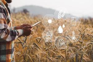 Smart farming concept. Farmer with technology digital tablet on background of wheat field. Professional farmers use internet of things IOT computers system to manage farms. agriculture modern idea. photo