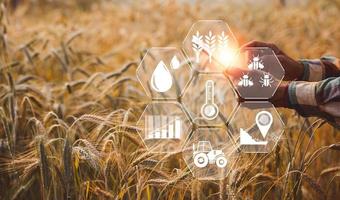 Smart farming concept. Farmer with technology digital tablet on background of wheat field. Professional farmers use internet of things,IOT, computers system to manage farms. agriculture modern idea. photo