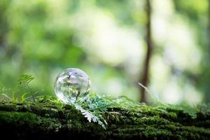 Globe planet glass In green forest with bokeh nature lights. world environment day. concept for environment conservation, protect ecology earth and environmental eco-friendly life with copy space photo