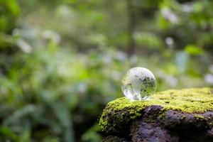 Globe planet glass In green forest with bokeh nature lights. world environment day. concept for environment conservation, protect ecology earth and environmental eco-friendly life with copy space photo