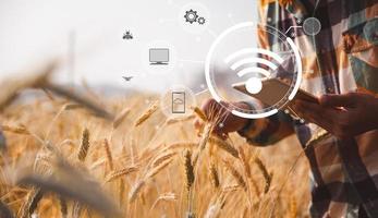 Smart farming concept. Farmer with technology digital tablet on background of wheat field. Professional farmers use internet of things IOT computers system to manage farms. agriculture modern idea. photo