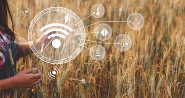 Smart farming concept. Farmer with technology digital tablet on background of wheat field. Professional farmers use internet of things IOT computers system to manage farms. agriculture modern idea. photo