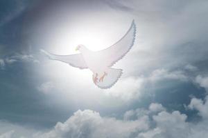 Doves fly in the sky. Christians have faith in Holy Spirit. silhouette worship to god with love Faith, Spirit and jesus christ. Christian praying for peace. Concept of worship in Christianity. photo