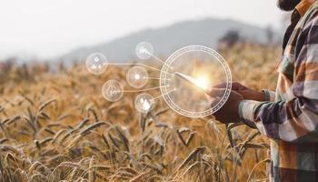 Smart farming concept. Farmer with technology digital tablet on background of wheat field. Professional farmers use internet of things IOT computers system to manage farms. agriculture modern idea. photo