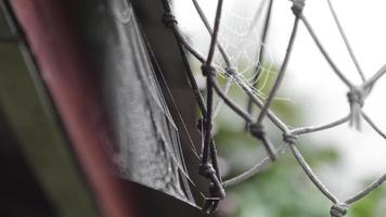 Nahaufnahme eines Spinnennetzes, das an einem Basketballnetz befestigt ist und mit Feuchtigkeitstropfen bedeckt ist. Rack-Fokus. video