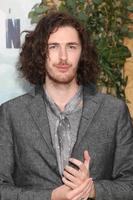 LOS ANGELES, JUN 27 - Andrew Hozier-Byrne, Hozier at The Legend Of Tarzan Premiere at the Dolby Theater on June 27, 2016 in Los Angeles, CA photo