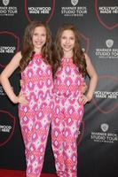 LOS ANGELES, JUL 14 - Bianca D Ambrosio, Chiara D Ambrosio at the Warner Bros Studio Tour Hollywood Expansion Official Unveiling, Stage 48 - Script To Screen at the Warner Brothers Studio on July 14, 2015 in Burbank, CA photo