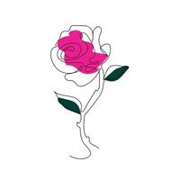 Rose Line art drawing in illustration vector