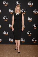 LOS ANGELES, JUL 15 - Wendi McLendon-Covey at the ABC July 2014 TCA at Beverly Hilton on July 15, 2014 in Beverly Hills, CA photo