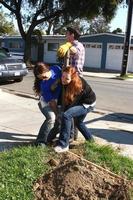 LOS ANGELES, FEB 9 - Theresa Castilo, Jason Thompson, and Emily Wilson removing old fence post at the 4th General Hospital Habitat for Humanity Fan Build Day at the 191 E Marker Street on February 9, 2013 in Long Beach, CA photo