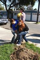 los angeles, 9 de febrero - theresa castilo, jason thompson y emily wilson quitando el viejo poste de la cerca en el 4to hospital general hábitat para el día de la construcción de fanáticos de la humanidad en la calle 191 e marker el 9 de febrero de 2013 en long beach, ca foto