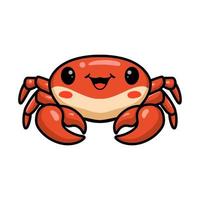 Cute little crab cartoon posing vector