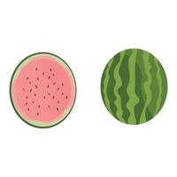 a whole watermelon and half a watermelon on a white background vector