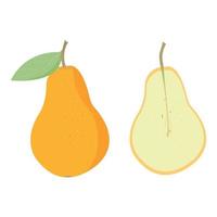 pear on white background vector