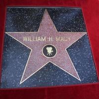 LOS ANGELES, MAR 7 -  William H Macy star at the Ceremony honoring William H  Macy and Felicity Huffman with their Hollywood Walk Of Fame Stars at 7060 Hollywood Blvd  on March 7, 2012 in Los Angeles, CA photo