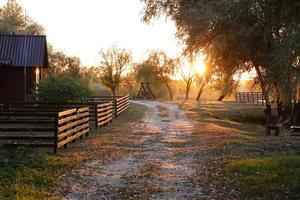 Beautiful autumn landscape with sunset among the green and orange trees. Picturesque place with lake photo