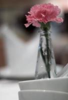 clavel rosa adornado en finos jarrones de vidrio colocados sobre una mesa de comedor foto