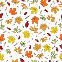 Hand drawn autumn leaf collection patterns collection vector