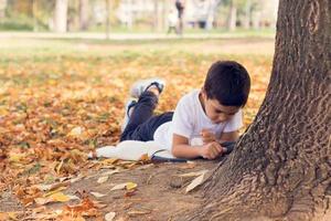 Small boy enjoying in autumn day at the park. photo