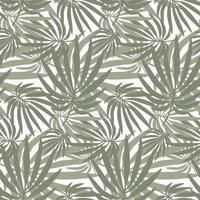 Background of tropical palm leaves. Hand-drawn vector illustration of plants isolated on a white background.