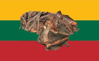 Outline map of Lithuania with the image of the national flag. Firewood inside the map. Collage illustration. Energy crisis. photo