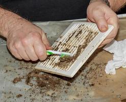 Cleaning a very dirty kitchen exhaust fan from dirt with a brush. A man cleans the parts of a fan with a brush photo