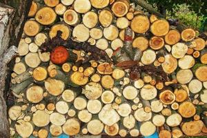 Winter preparation. Stacking Firewood. Pile of firewood loggs. Firewood background. photo