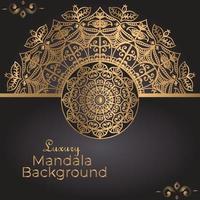 Luxury mandala background design temolate vector