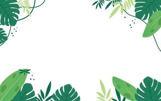 Flat tropical leaves background isolated white background