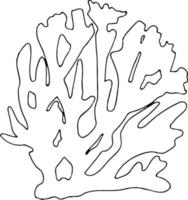 boceto de contorno de concha de mar aislado en blanco. ilustración de vector simple lineal