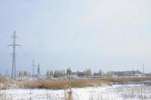 The power line tower is located in a marshy area, covered with snow. Large field of yellow bulrushes photo