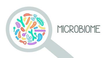 Microbiome illustration of bacteria. Vector image. Gastroenterologist. Bifidobacteria, lactobacilli. Lactic acid bacteria. Illustration in a flat style.