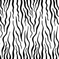 Vector seamless pattern with zebra skin. Black and white zebra stripes.