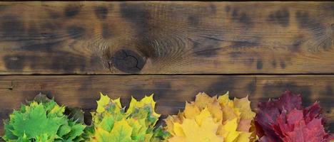 composición de muchas hojas de otoño caídas amarillentas sobre una superficie de fondo de tablas de madera natural de color marrón oscuro foto