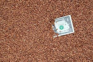 The background texture of a large pile of buckwheat, in the middle of which you see a bill of one US dollar. The concept of higher prices for cereals photo