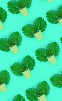 Tropical palm monstera leaves lies in a pastel pails on a colored background. Flat lay trendy minimal pattern. Top view photo