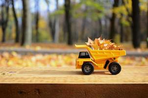 A small toy yellow truck is loaded with yellow fallen leaves. The car stands on a wooden surface against a background of a blurry autumn park. Cleaning and removal of fallen leaves. Seasonal works photo